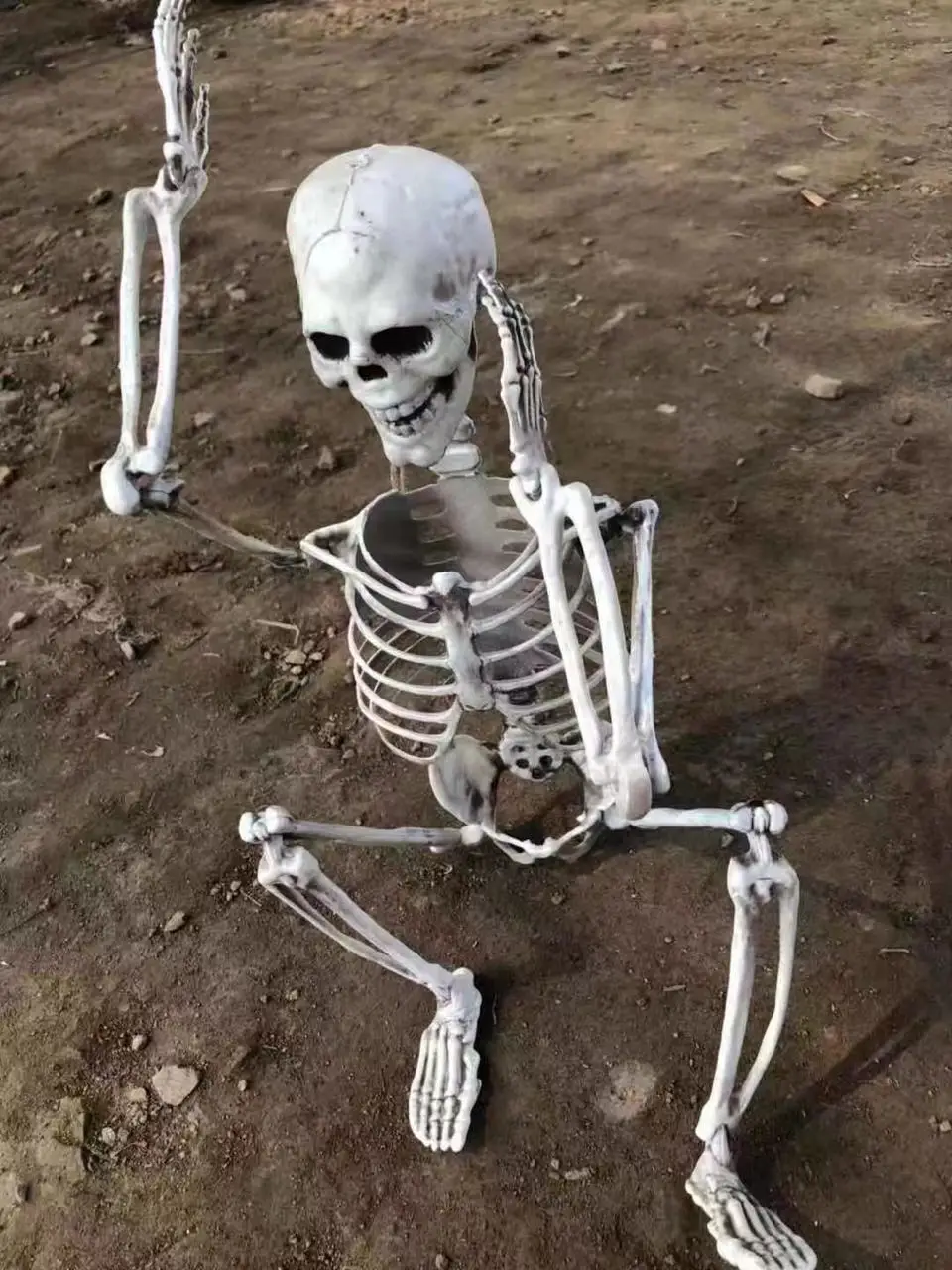 

Декоративные реалистичные полноразмерные передвижные ужасные пластиковые фоны на Хэллоуин для фотосъемки