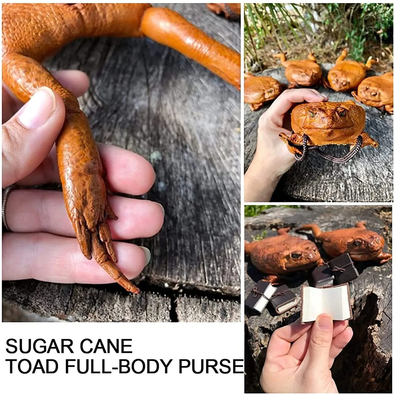 Sugar Cane Toad-Full-Body Purse, Coin Pouch Made From Taxidermy Cane-Toad Simulation toad coin purse, fun wallet