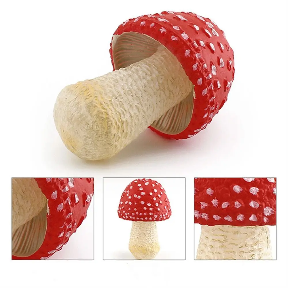 Vegetable Model Fungus Figurines Matsutake Oyste Landscape Miniatures Simulation Mushroom Teaching Plant Fungus Model