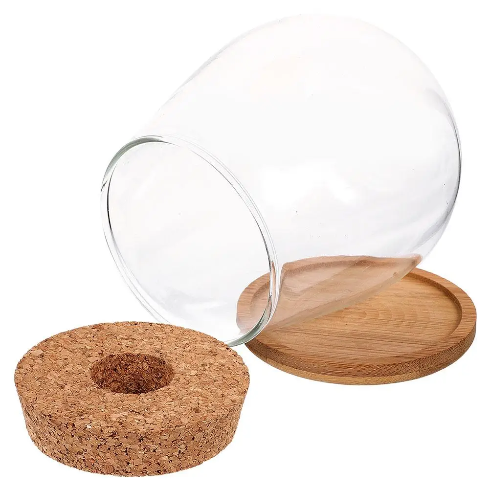

Hydroponic Vase Vases Micro Landscape Planter Bottle Hydroponics Water Culture Glass Bowl Pot Planters