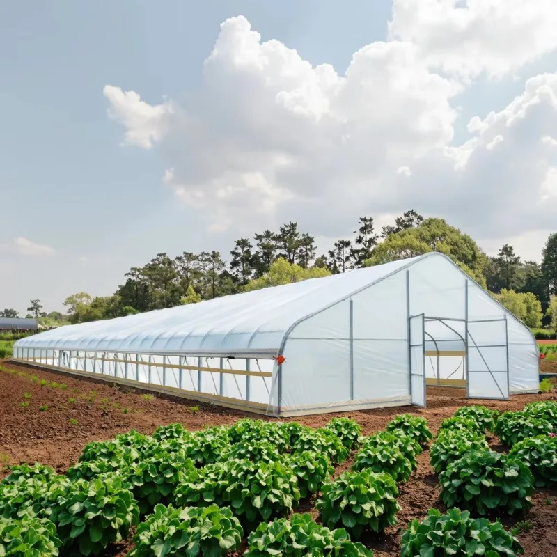 Tienda de campaña de jardín con invernadero de película de PE galvanizada W30ft L30ft H12ft, transmitancia de luz 92% para cultivo de plantas agrícolas