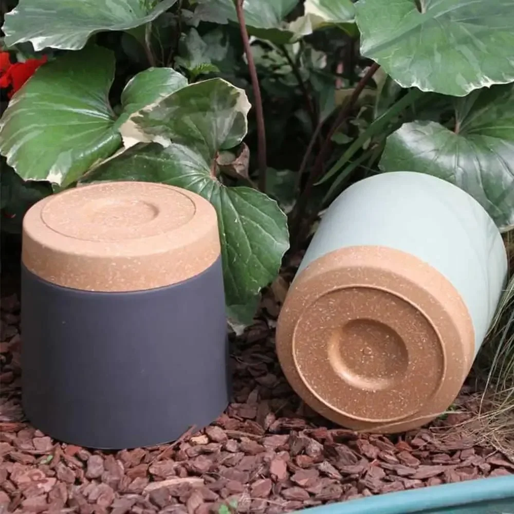 Vaso per piante 1PC con vassoio Vaso da fiori in plastica con drenaggio per piante da interno Piantagione succulenta e decorazione domestica da giardino 4 dimensioni