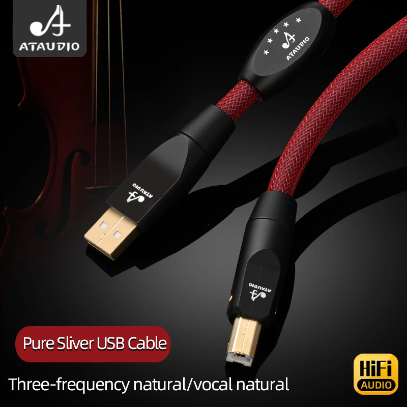 6N Pure Silver HiFi USB Audio Cable Digital Audio Type USB A to B Type C for DAC Computer Sound Card USB Cable