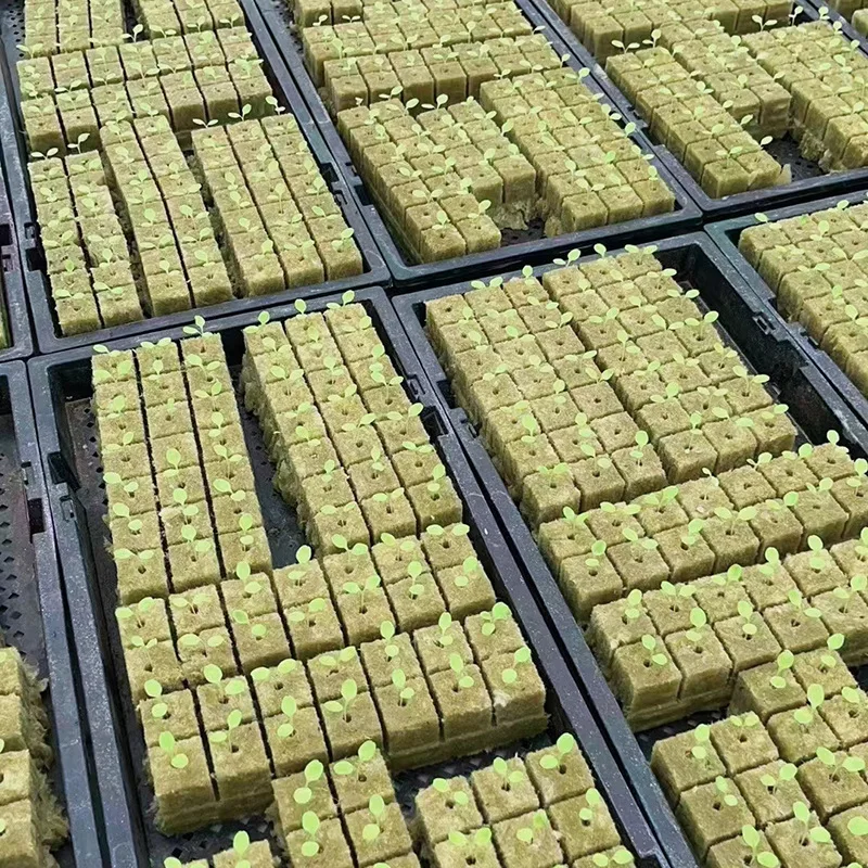 50-200Pcs Rock Wool Starter Plugs Seedling Grow Plug Planting Cubes Hydroponics Cuttings Garden Plant Propagation Supplies