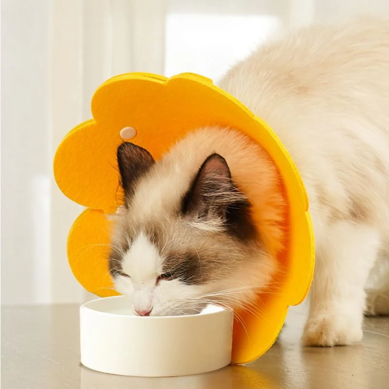 Cat Elizabeth Ring Felt Sunflower Collar Pet Medical Postoperative Anti licking Head Cover sterilization Pet Supplies