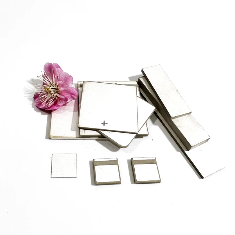 10Pcs 30×20×1 mm Piezoelectric Ceramic Rectangular With 3PCS OD33xID31xH10 Tube Piezo Ceramic