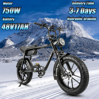 CMACEWHEEL K20 Electric Bike 20“ Fat Tire E-bike 48V/17Ah Battery 7-Speed E MountainBike Men & Women Torque 70N.m