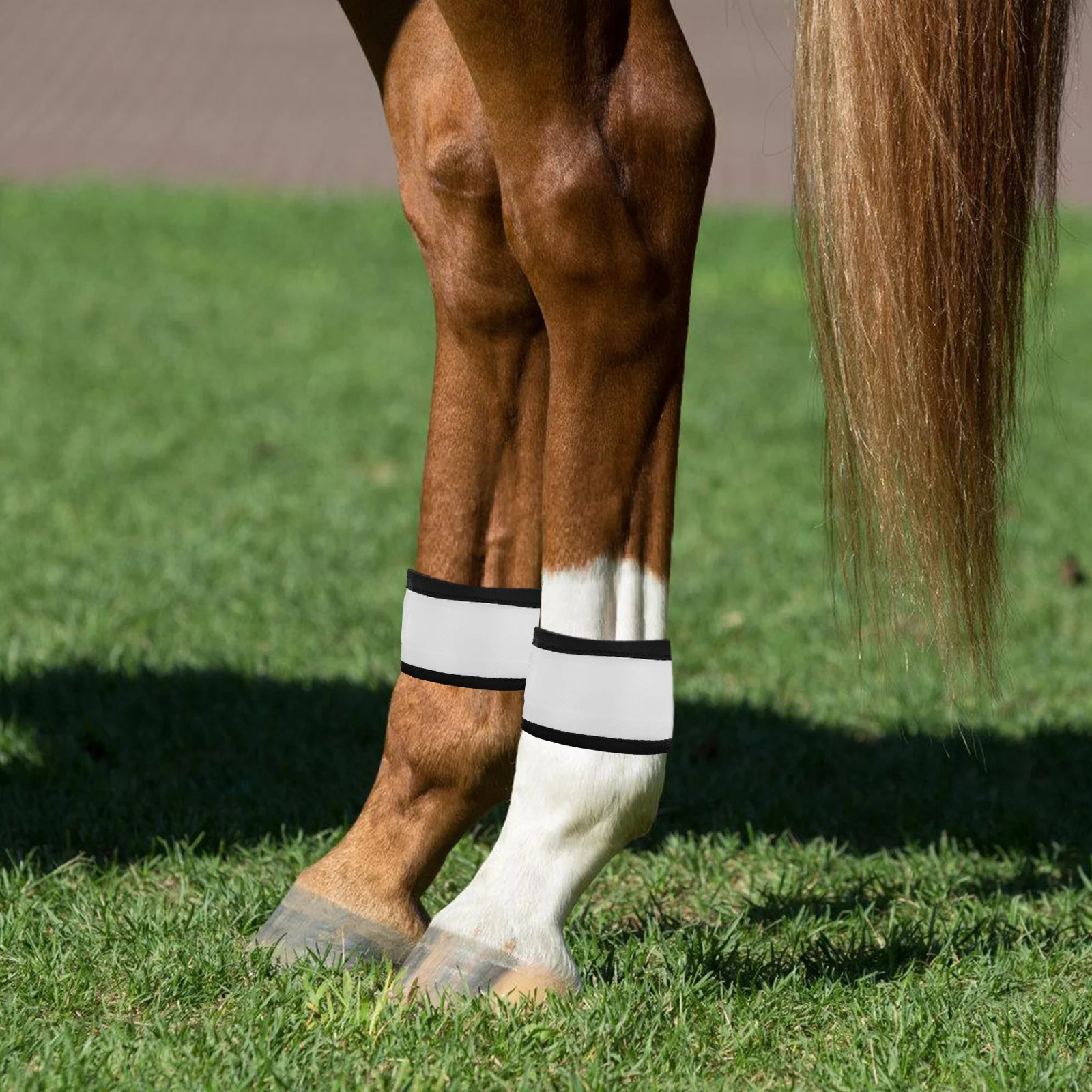 4 قطعة وامض LED الحصان الساق العصابات مقاوم للماء متوهجة الكاحل الأشرطة ليلة ركوب الرياضة في الهواء الطلق معدات سلامة الفروسية #6