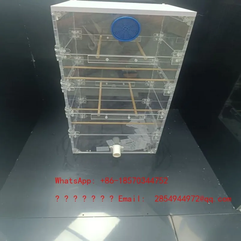 Transparent Acrylic Beehive Observation Artifact Easy Breeding Without Opening The Lid