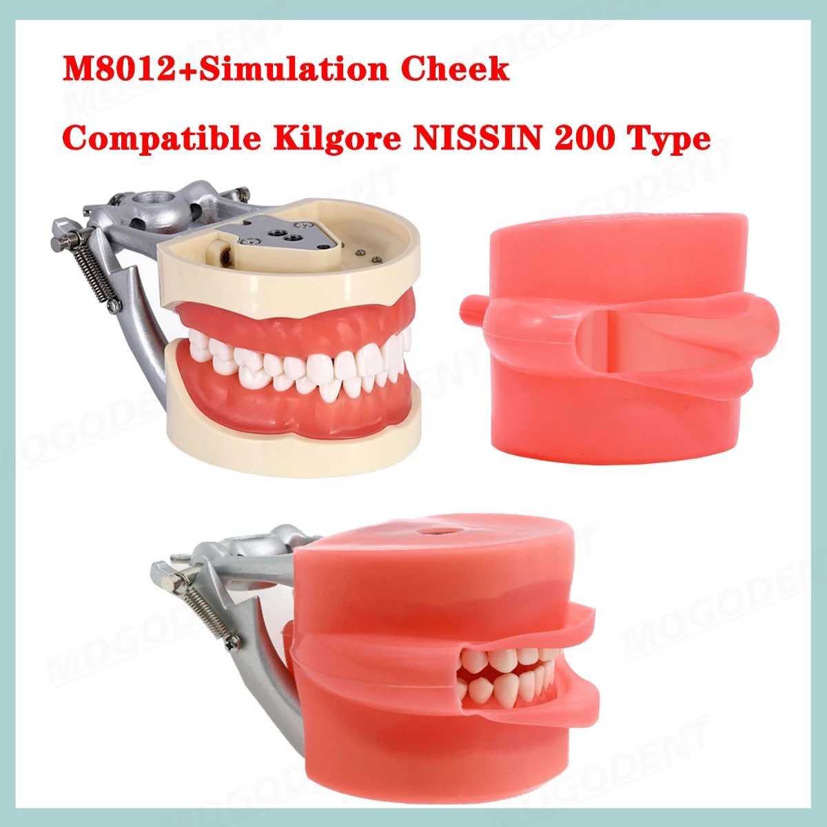 Dental Teeth Model Training With 32 Teeth Rubber Simulation Cheek Dental Teaching Models Compatible Kilgore Nissin 200 Type