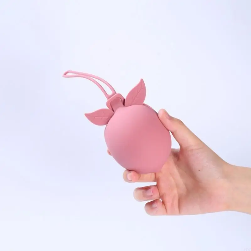 A5YC Fruit Baby Pacifier Storage Bag Silicone Dummy Case Container for Infant
