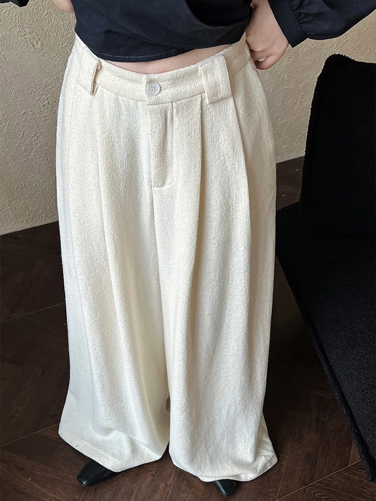 LANMREM Casual Wide Leg Pants For Women High Waist Solid Color Versatile Full Length Trousers 2024 Autumn New Clothing 2Z2646