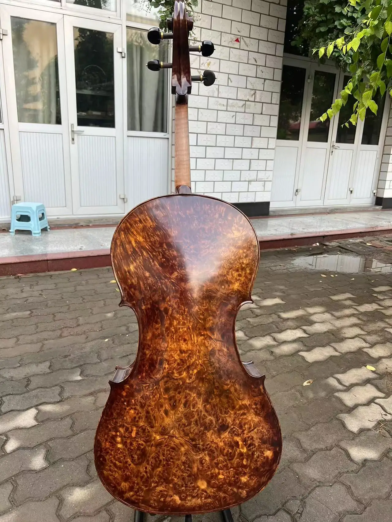 Rare Professional song Cello 4/4 Solid Bird eye maple back old spruce top#15715