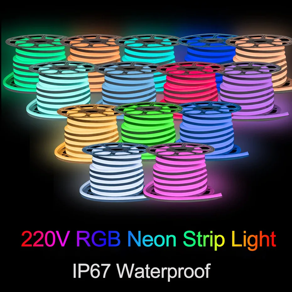 220V LED Neon Strip RGB Dimmable LED Strip Light 5050 IP67 Flexible LED Tape Remote/Bluetooth/Tuya Smart WiFi Work with Alexa