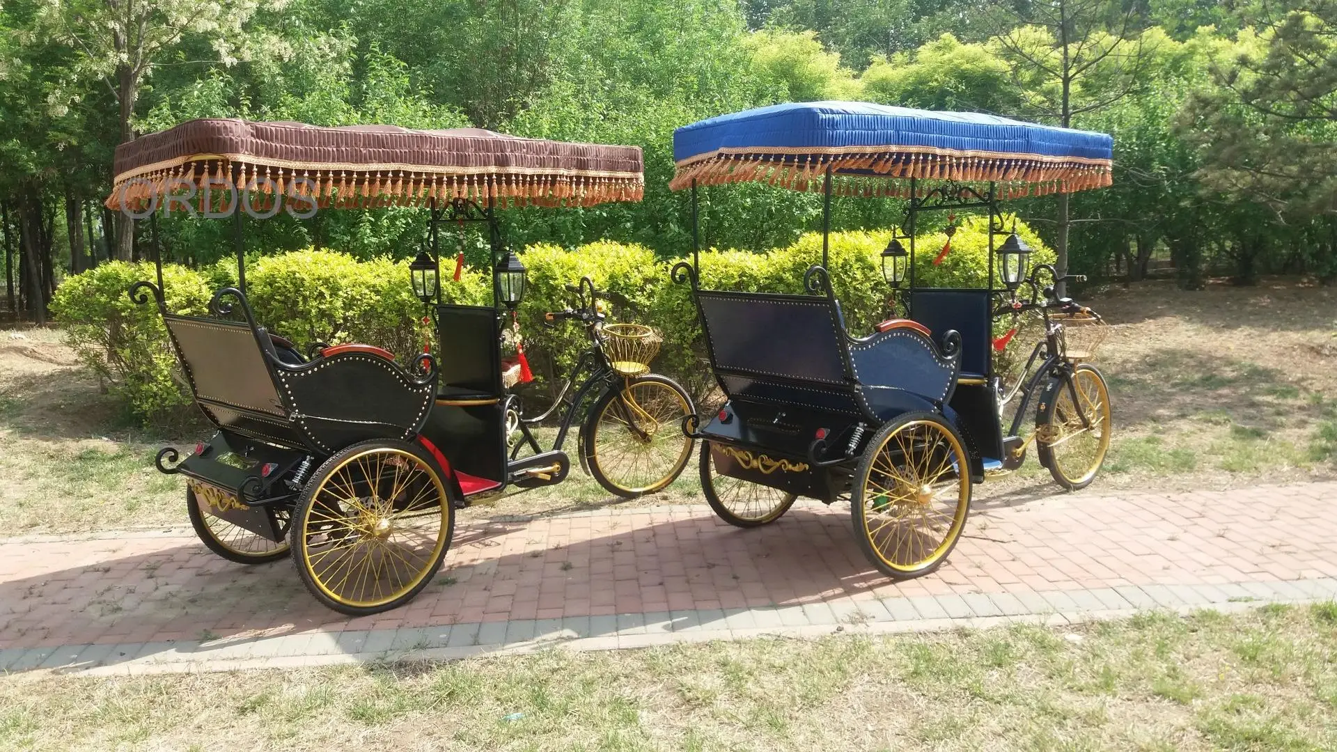 Electric tricycle for passenger sightseeing tuktuk rickshaw touring for historical city  royal wedding horse drawn carts