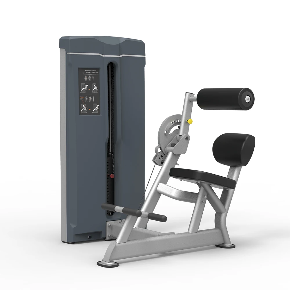 One-Stop Customized Gym Service Abdominal/Back Extension Double Functions Fitness Equipment Commercial Strength Training Machine
