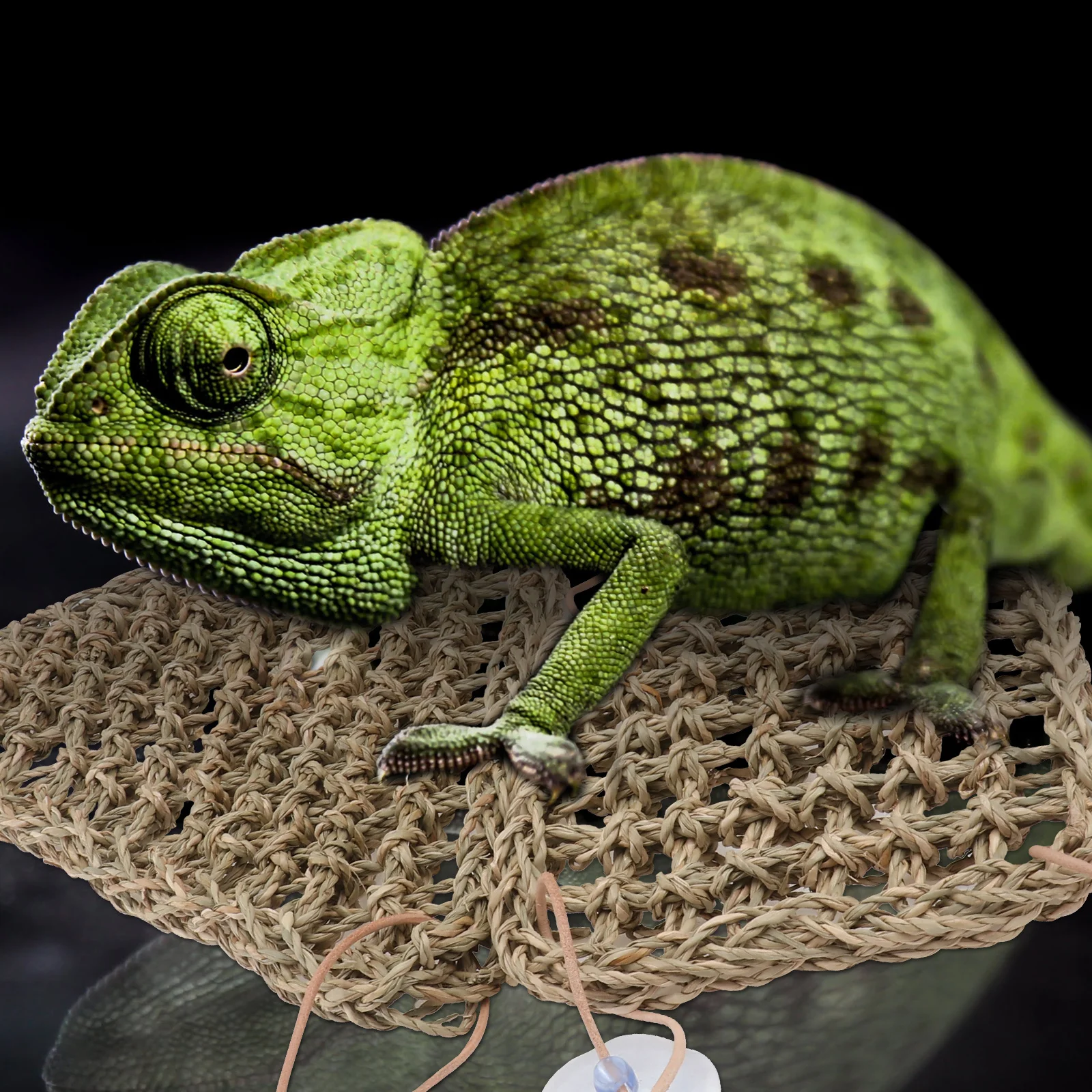 

1 Set Lizard Hammock Woven Pet Mat Natural Breathable Cushion For Reptiles Hamster Chinchilla Sea Pet Bed Hanging Lizards Nest