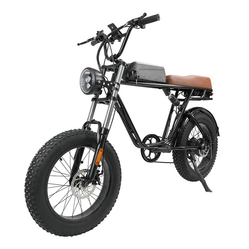 

20 Inch Snow Bike Mountain Bike 48v500w Lithium Battery Power Bike