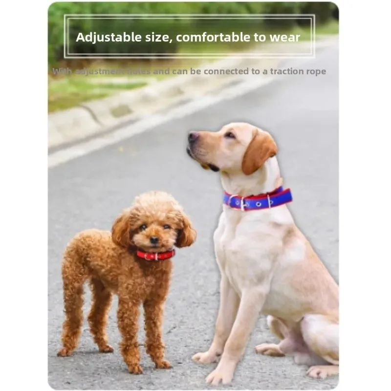 الياقات الصلبة طوق الكلب النايلون للكلاب الصغيرة والمتوسطة والكبيرة تيدي كيجي بيتبول بولدوج بيغل #2