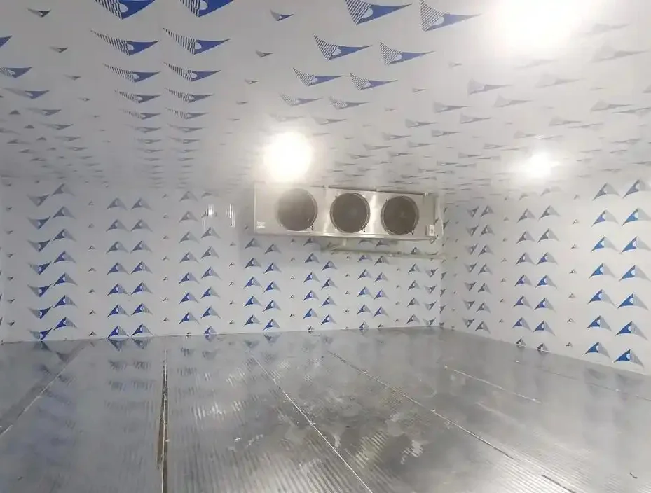 Prezzo di fabbrica Contenitore mobile da 20 piedi Sala di stoccaggio freddo a energia solare per negozio di ghiaccio di carne di pesce e frutta e verdura