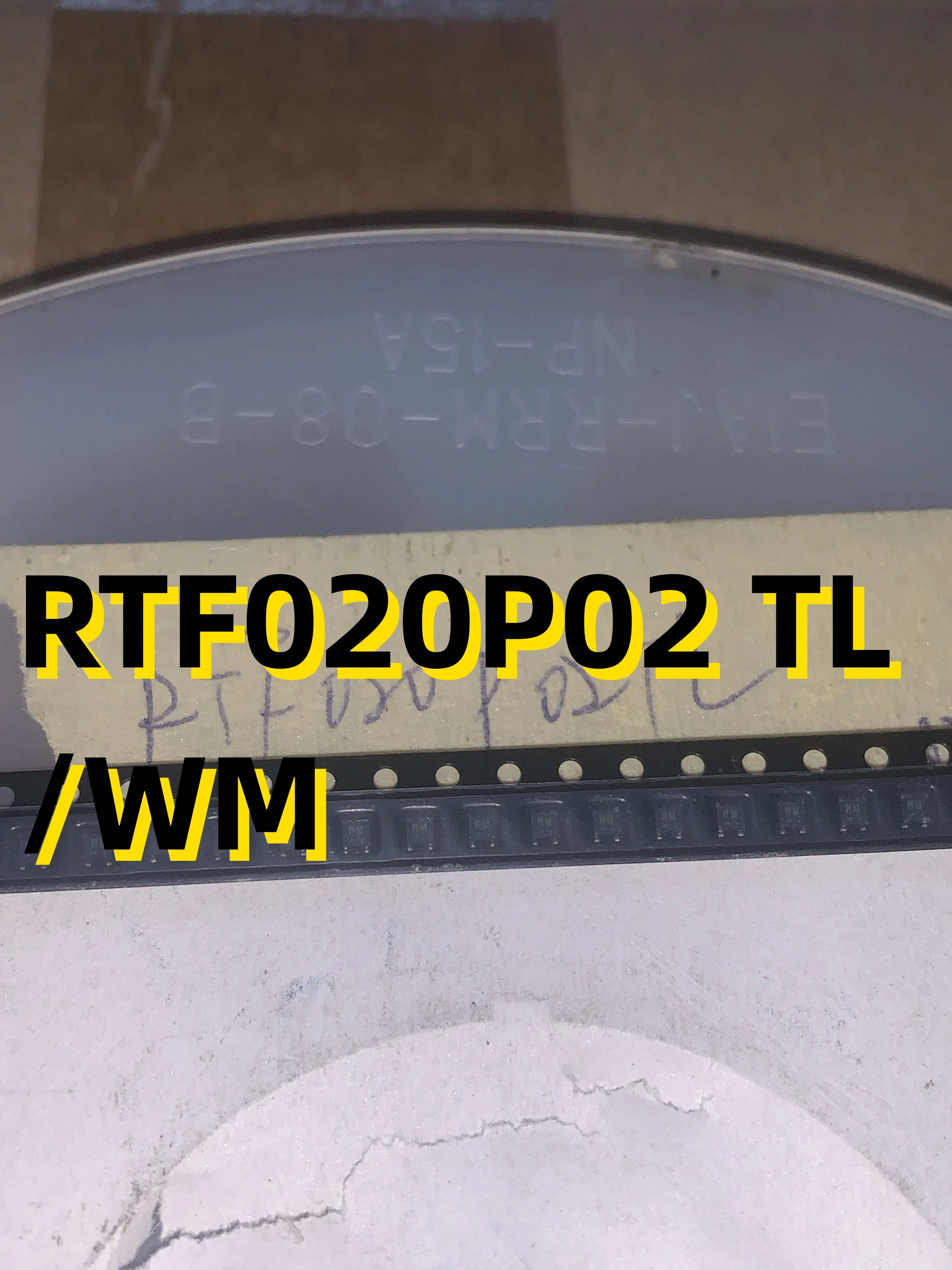 10個のrtf020p02 tl/wm