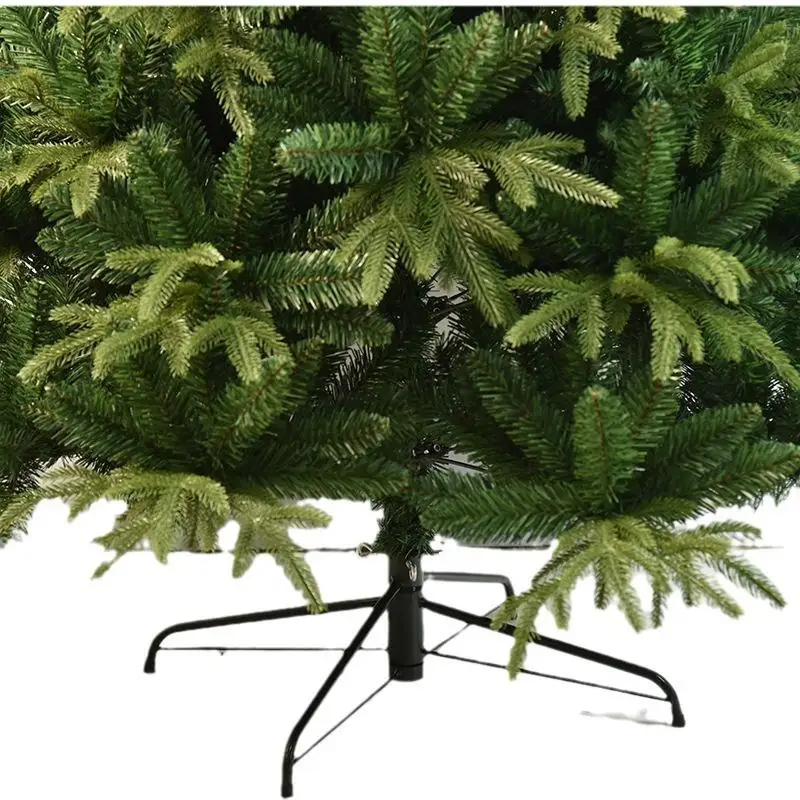 Auatic Cisas Tree D… - image