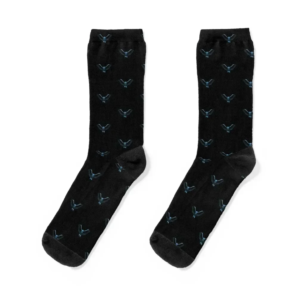 

blue owl Socks funny gift sheer Socks Ladies Men's