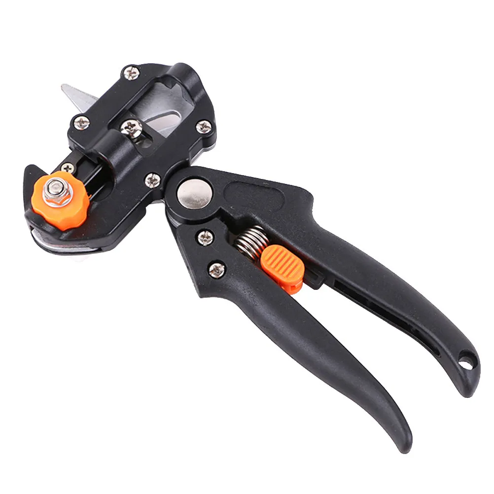 Automatic Grafting …