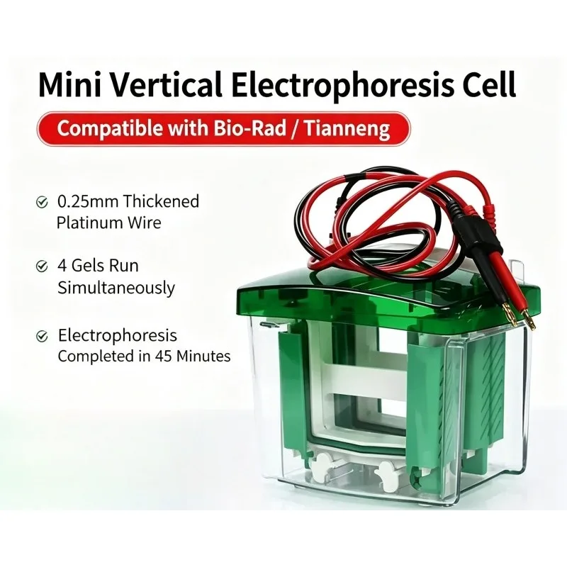 Mini Vertical Protein Electrophoresis Tank SDS-PAGE Gel Cell For Lab Biochemical Separation Sample Test Analysis Equipment