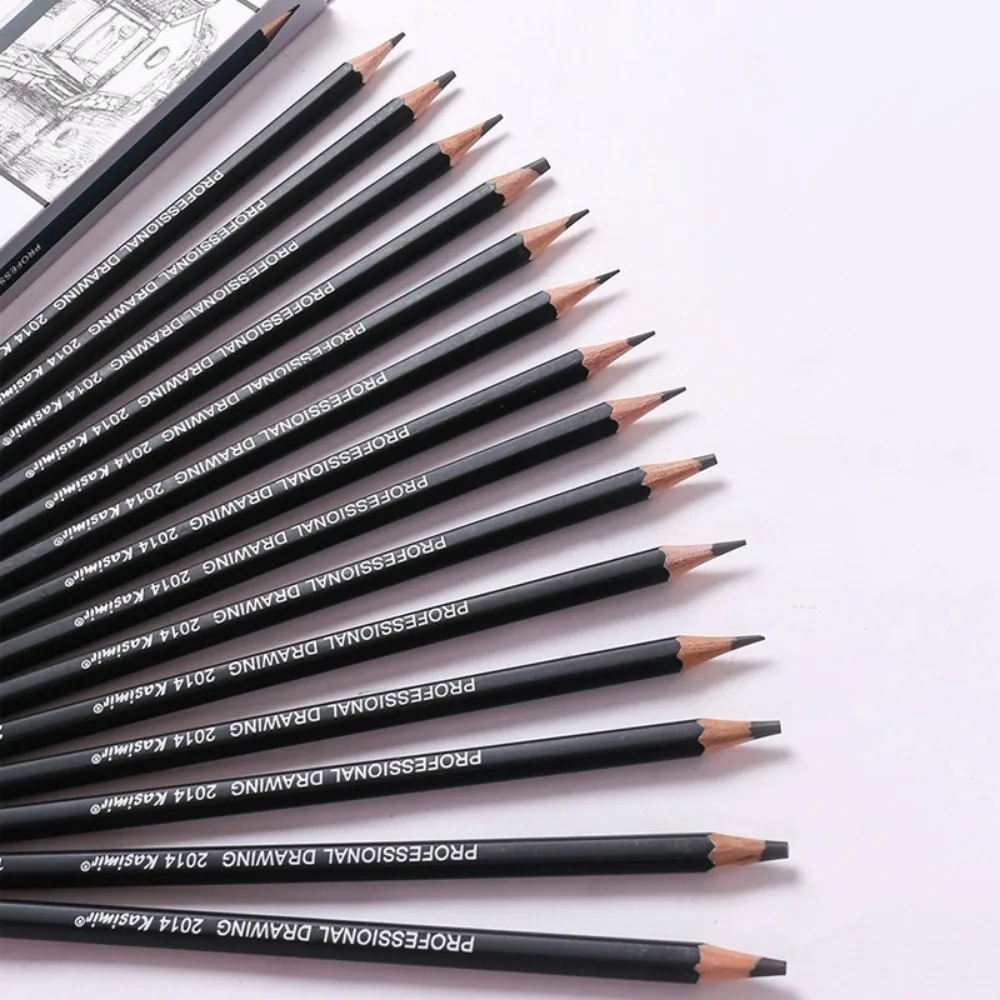 6H-12B Drawing Sketch Graphic Pencil Set 14pcs/set Professional Charcoal Pen for Art Supplies Graphite Pencil of Superior Pencil