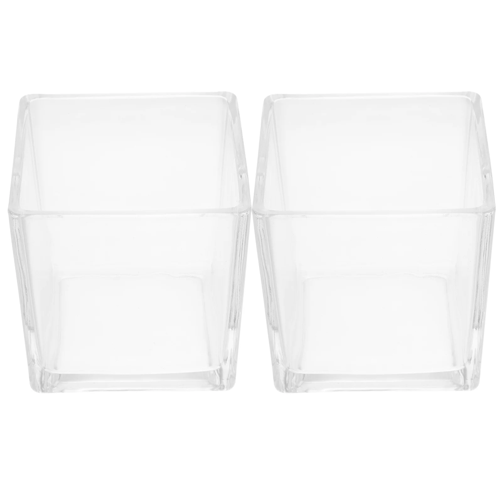 

2Pcs Clear Cube Glass Vase Modern Hydroponic Flower Planter for Table Centerpiece Home Office Decoration Decorative Glass Flower