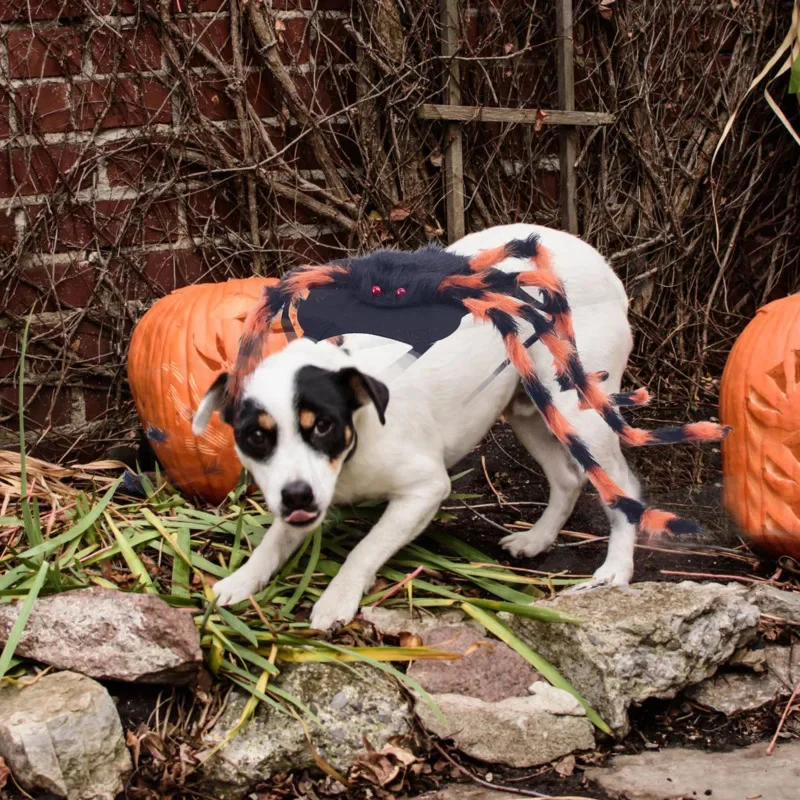 Halloween Spider Pet Costume, Faux Fur Black Spider Legs Cosplay Outfit For Dogs Cats, Funny Small Animal Fancy Dress Party Gift