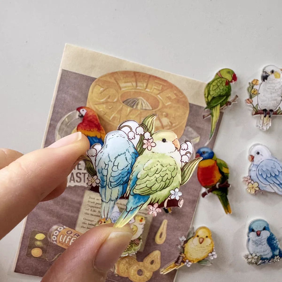 6pcs Cute Parrot Refrigerator Magnets, Kawaii Parrot Refrigerator Magnets