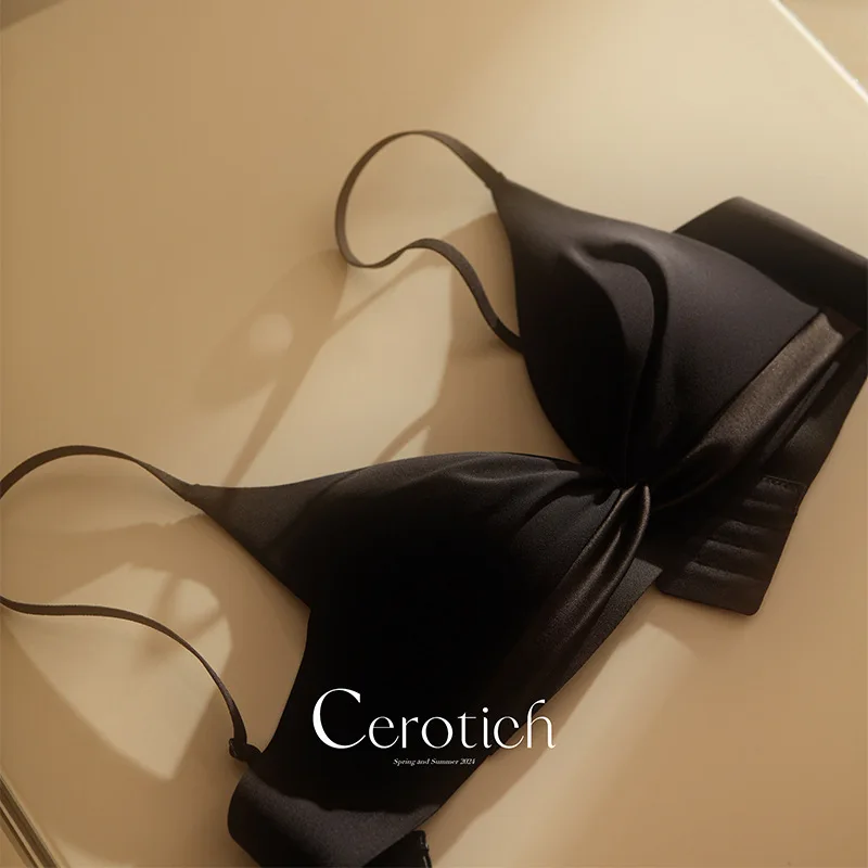 Women Wireless Push Up Sexy French Bra 100% Natural Mulberry Silk Lining Thin Breathable Comfortable Seamless Lingerie view 2