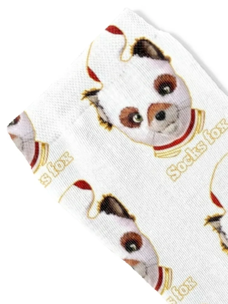 Fantastic mr fox Socks happy sports stockings sport Children's Ladies Socks Men's