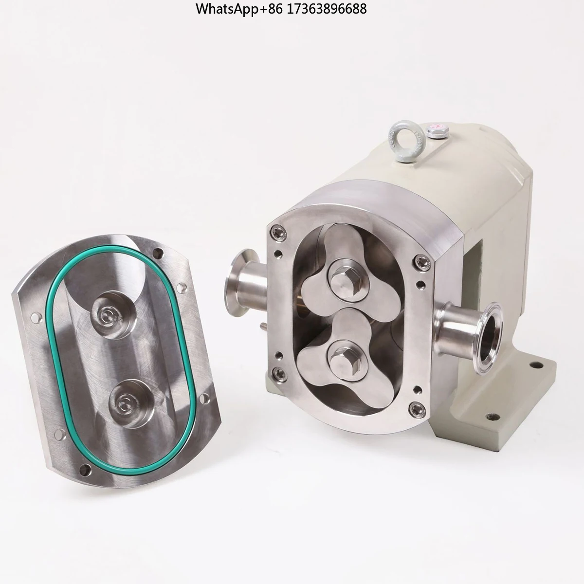

Sanitary 316L Food Transfer Pump Lobe Rotor Pump Electric Honey Rotary Pump High Viscosity Medium High Pressure Without Motor