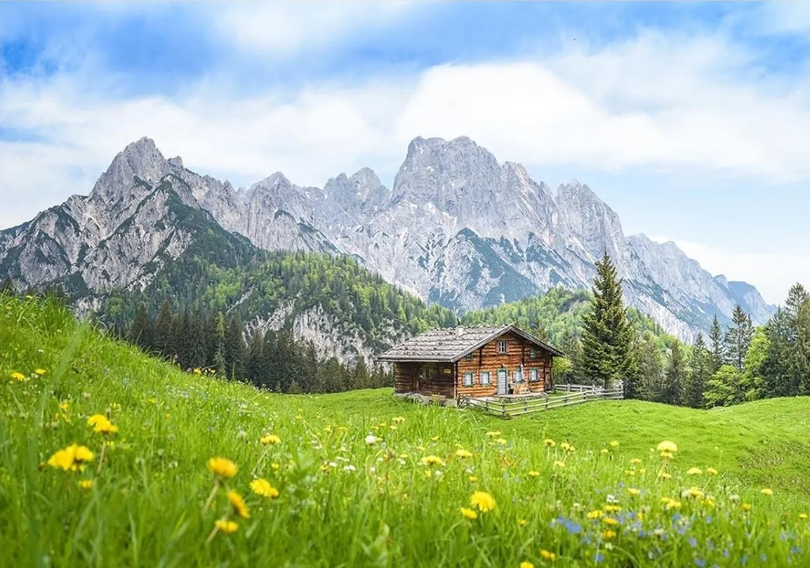 유럽 ​​오스트리아 알프스 산 그래피 녹색 초원 오두막 숲 꽃 배경 경치 좋은 사진 스튜디오 배경