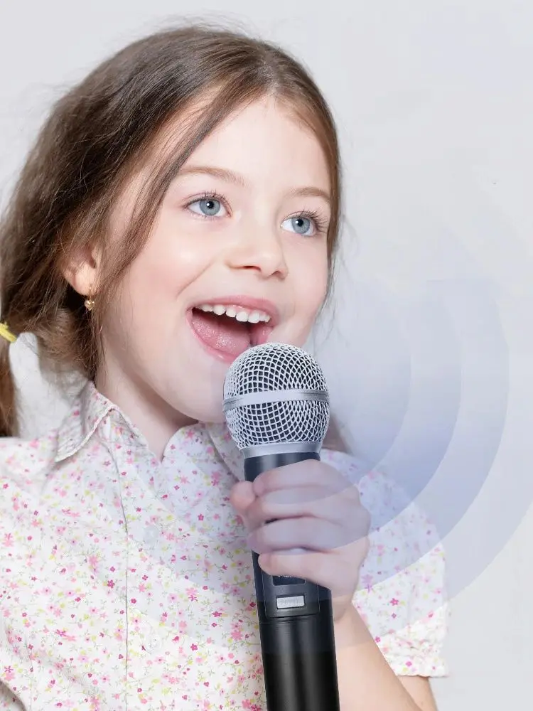 kebidumei Microphone sans fil 2.4G, 2 canaux, UHF, portable, Rechargeable, pour karaoké, réunion de fête de mariage en direct 2.4G Wireless Microphone 2 Channels UHF Handheld Microphone Mic Rechargeable 3