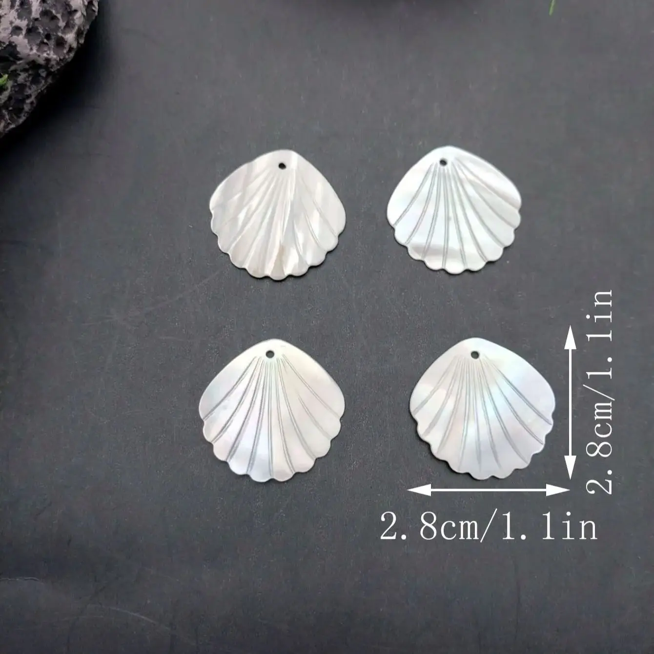 10pcs Natural Shell Charms for Jewelry DIY Making
