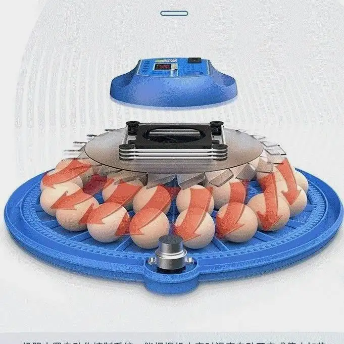 

Automatic incubator Rutin chicken intelligent incubator Round chicken, duck, goose, bird egg incubator Small flying saucer incub