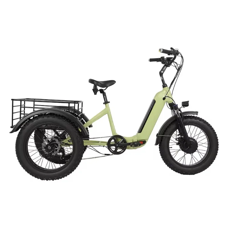

Electric bicycle 750W removable 3-wheel electric Stepping bicycle Electric bicycle