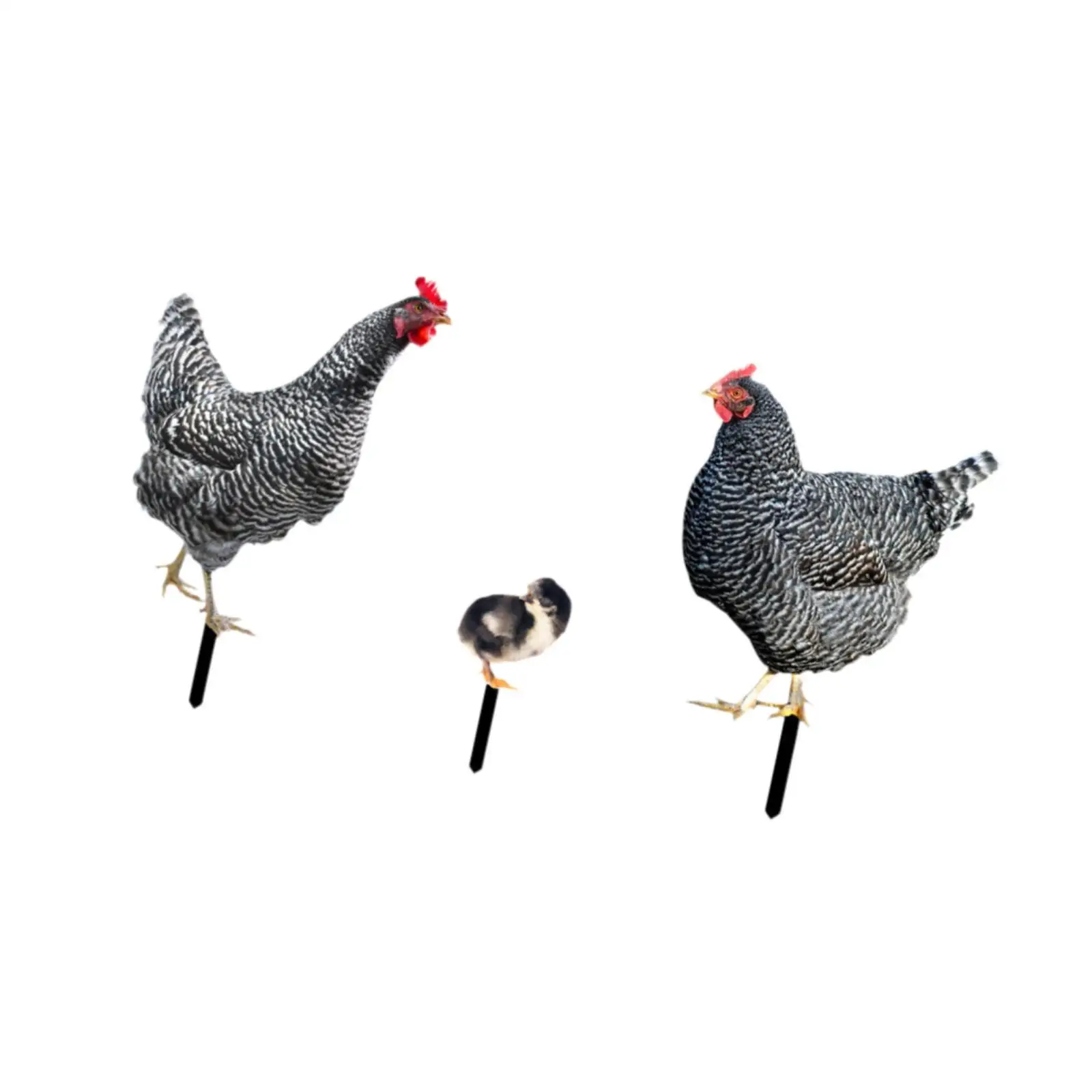 

3 Pieces Chicken Statues Garden Stakes,Chicken Figurines Ground Insert Yard Sign Animal Sculptures Yard Art for Patio Lawn