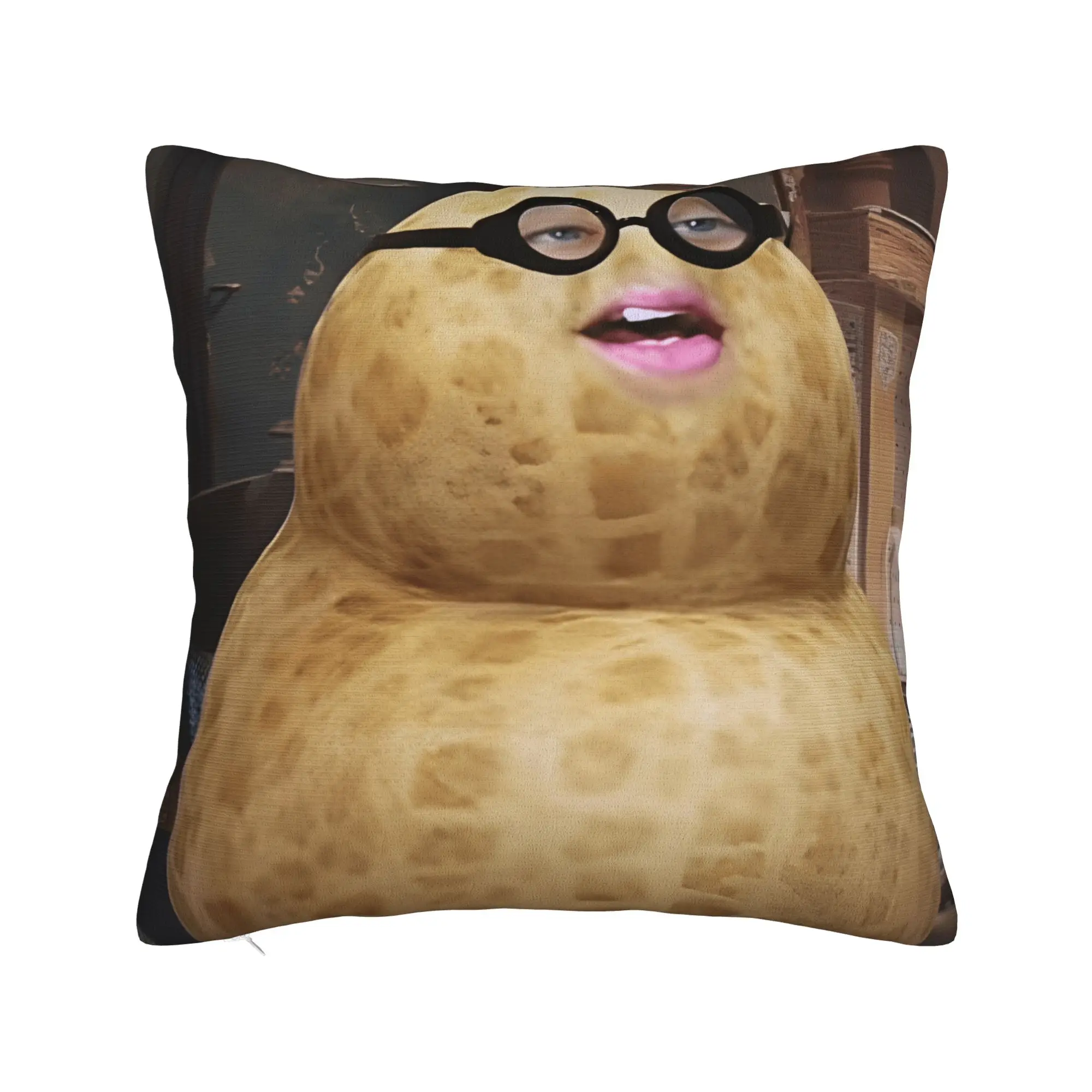 The Burnt Peanut GOOP Meme Pillow Cover  Funny Pillow Case For Office Car Home Decor Comfy Pillowcases Gift