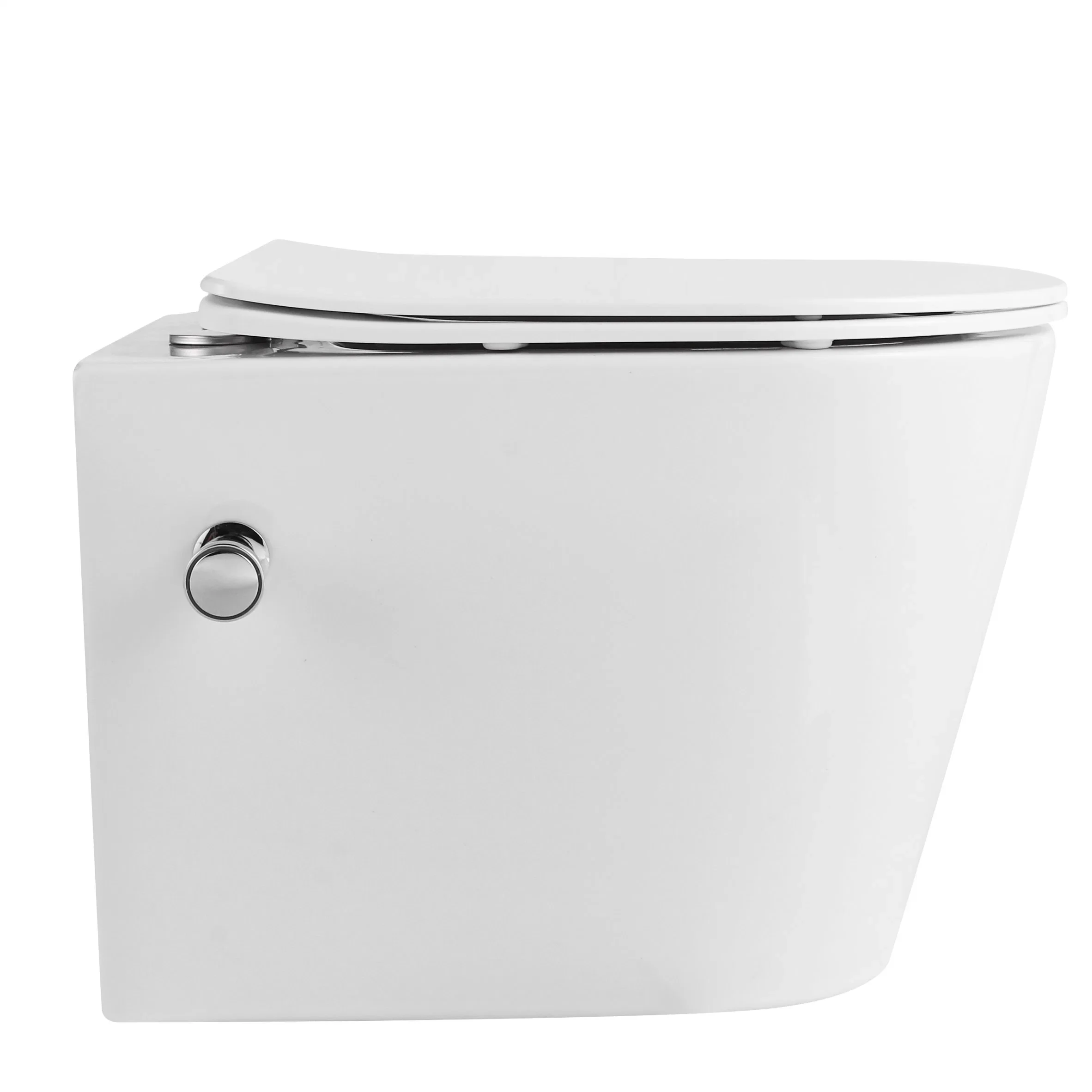 European standard integrated wall-mounted toilet, integrated toilet with bidet, toilet with built-in bidet