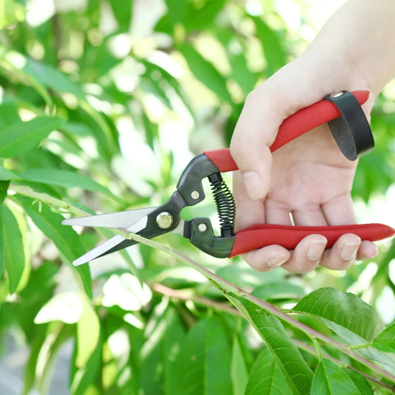 Garden Tools Shears Metal Gardening Scissor Pruning Tool Hand Cutter Grape Fruit Picking Weed Household Potted Trimmer 