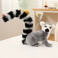 Ring-tailed lemur1