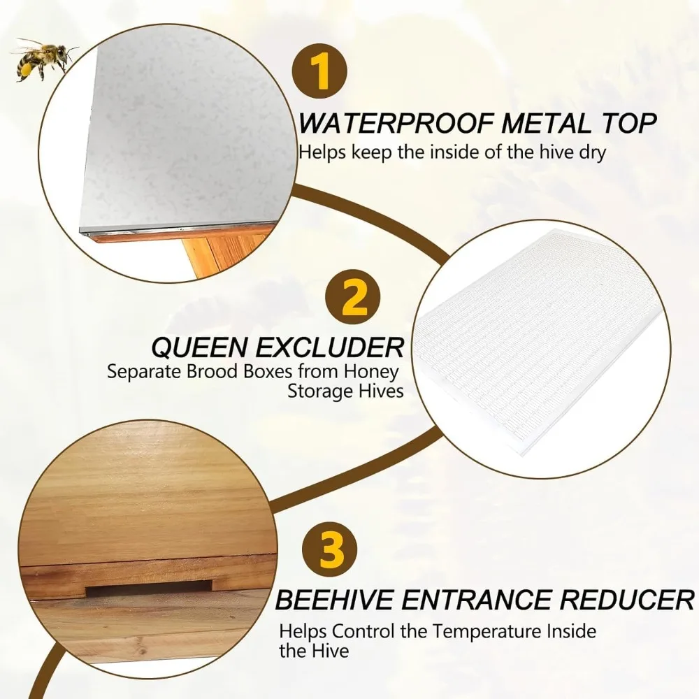 5-Layer Bee Hive, Langstroth Beehive Kit with 100% Beeswax Coating Includes 2 Deep Boxes & 3 Medium Layers for Optimal Honey