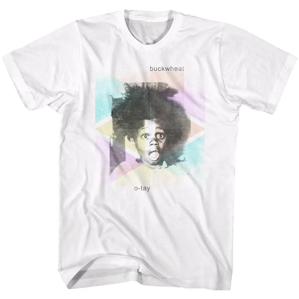 BuckWheat T-Shirt from The Little Rascals Abstract Adult Tee SM - 5XL