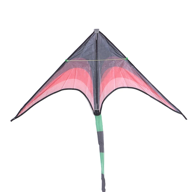 Large Delta Kites Tails Flying Toys For Children Kites Handle Line Outdoor Sports Kites Nylon Ripstop Professional Wind Kites