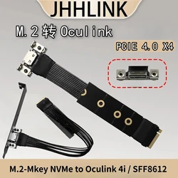 High Speed PCI-E 4.0 X4 GEN4 M.2 NVMe to Oculink Fixing Cable PC Host GPU SSD Server OCuLink 4X External Dock Silver-Plated Wire